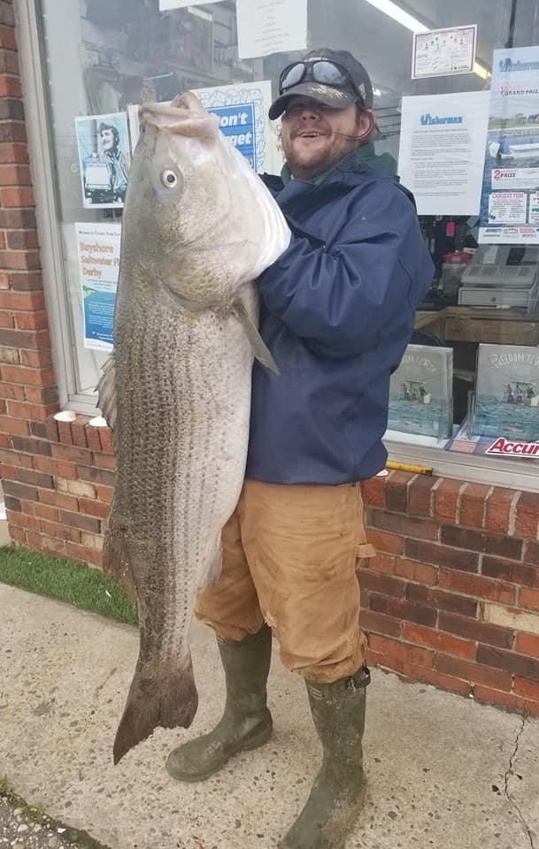 58.10 lb striper