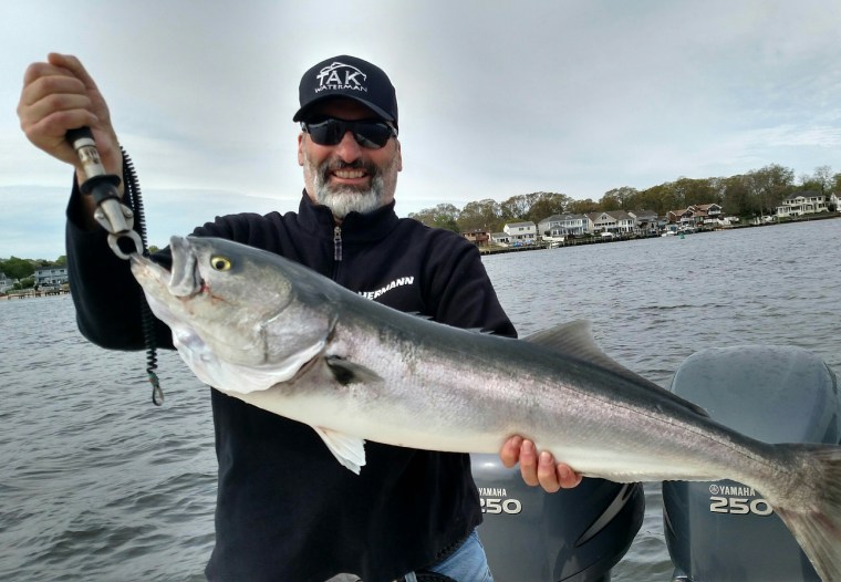 Manasquan River blue