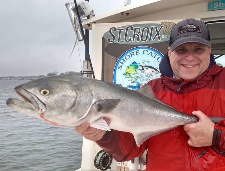 Manasquan River blue