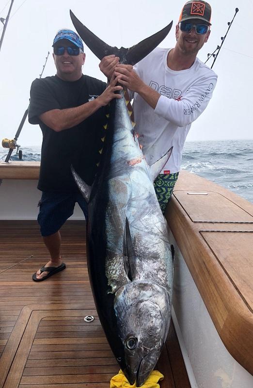 CR Glory Hole bluefin