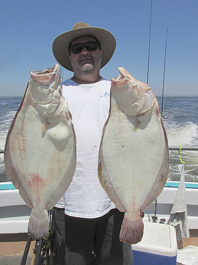 John Vanderstad 6-lb fluke