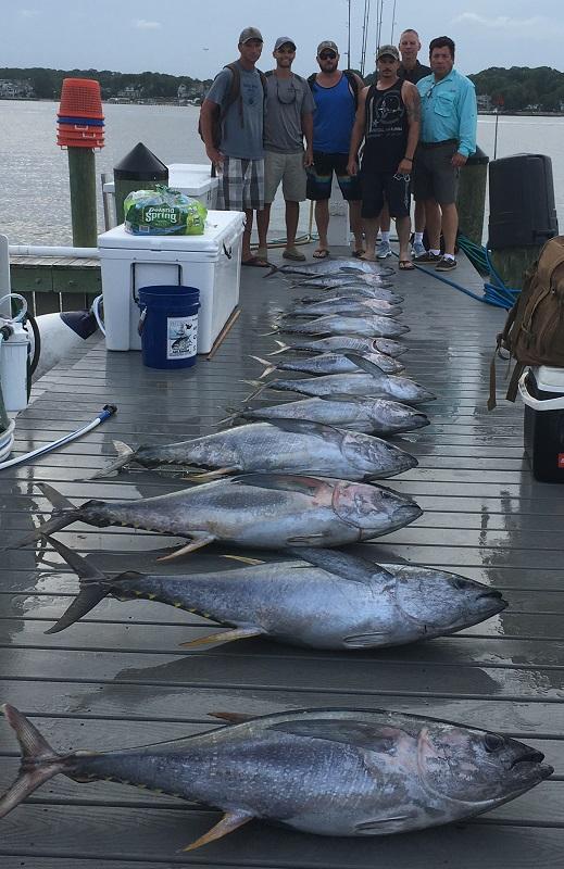 Miltary on CR with yellowfins