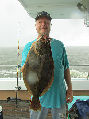 Dave Brink - 5-lb-EBII