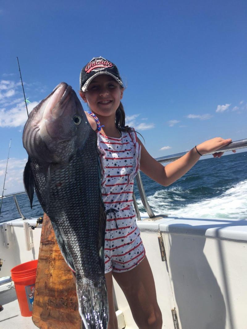 Golden Eagle sea bass