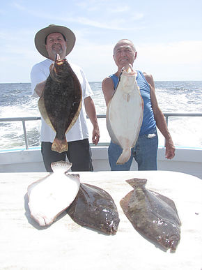 Pool fluke on Elaine B II