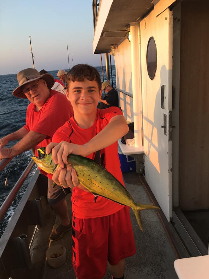 Small dolphin on Jamaica