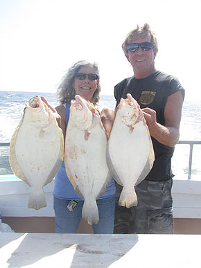 Tight race for pool on EBII