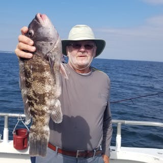 blackfish-Ocean Explorer