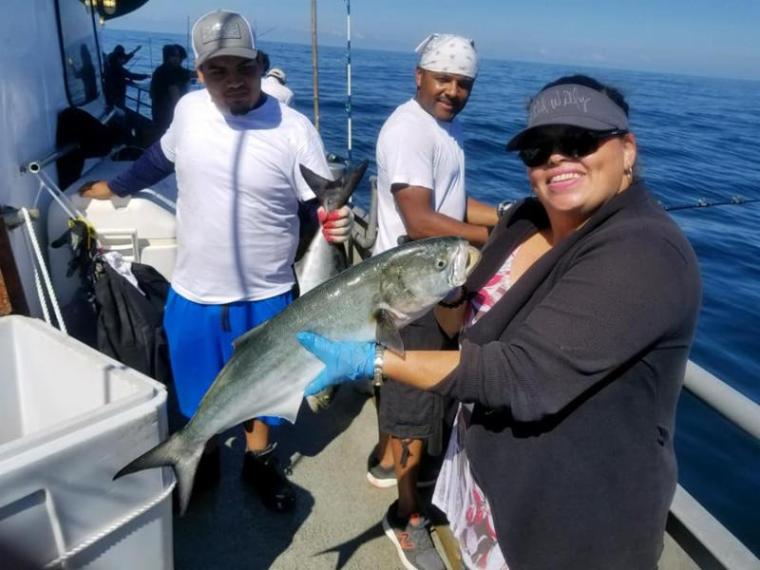 bluefish on the Jamaica