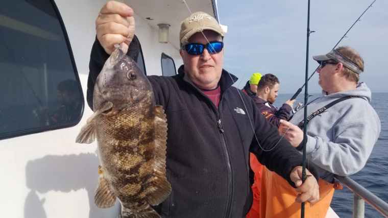 blackfish Ocean Explorer