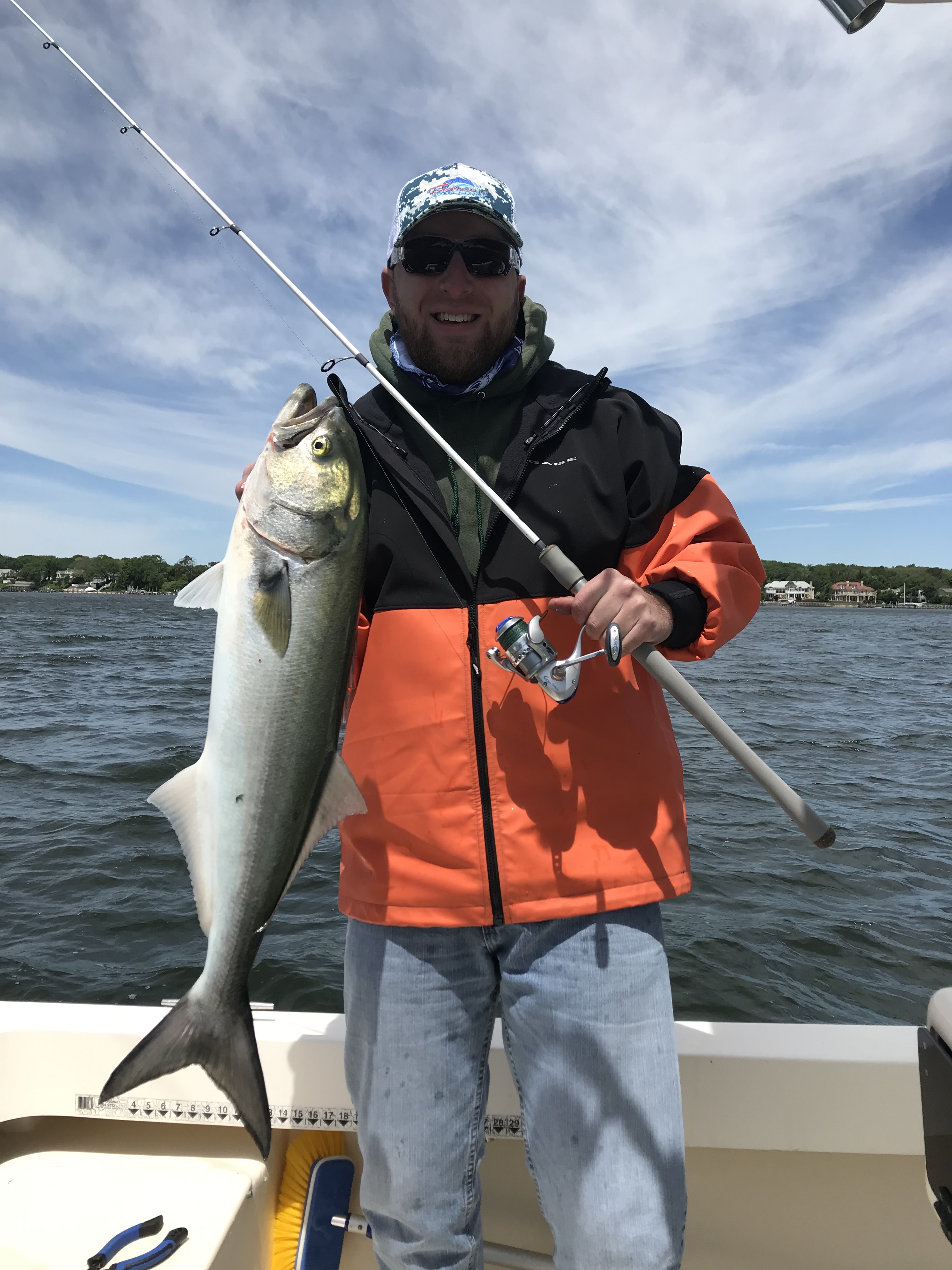 Steve Merrill (1) blue.jpg