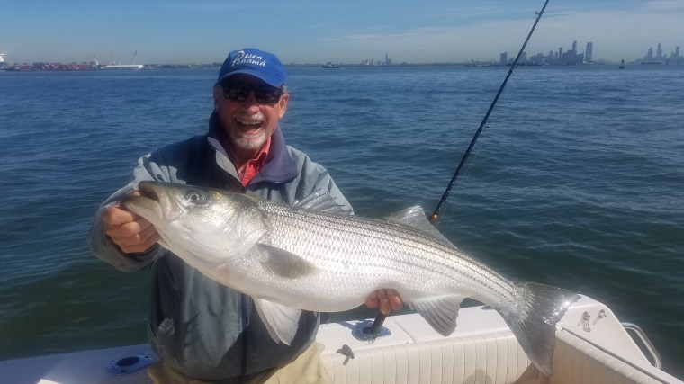 Al bass on My Three Sons