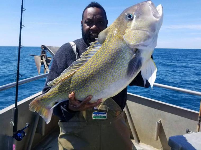 tilefish-Jamaica