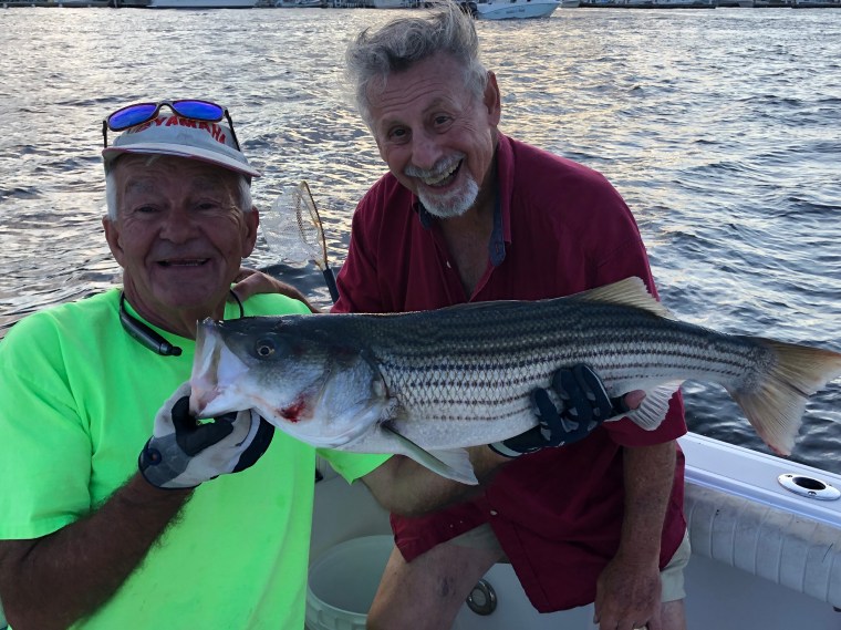 Al &amp; Hans 30-inch bass