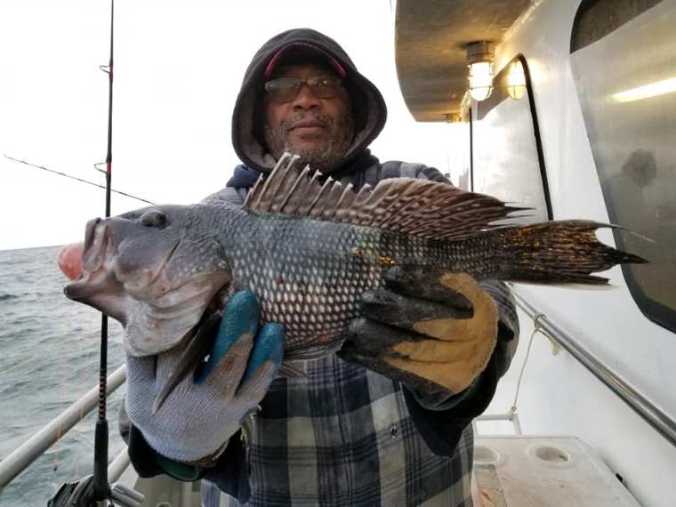 Jamaica Nov. sea bass