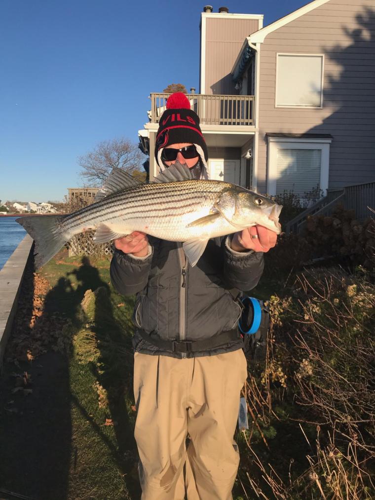 Will Frederick 28-inch