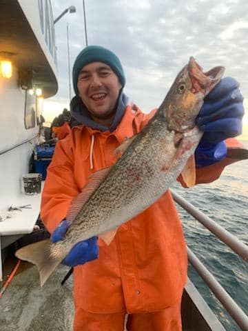 Jamaica weakfish