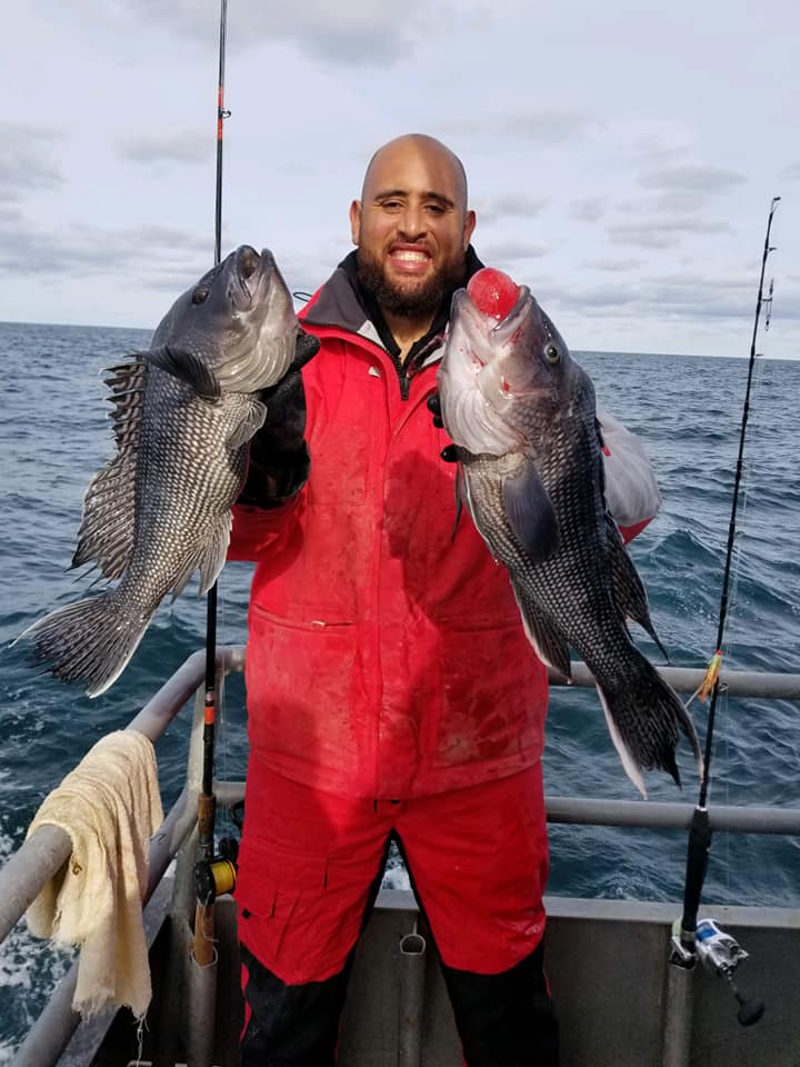 Pair of Jamaica sea bass