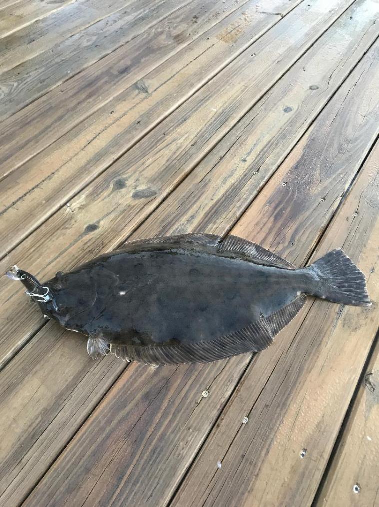 Bobby's Jupiter fluke